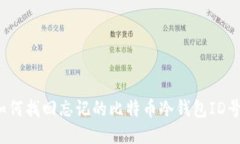 如何找回忘记的比特币冷钱包ID号？