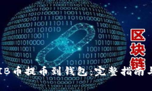 如何将SHIB币提币到钱包：完整指南与注意事项