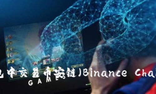 如何在TP钱包中交易币安链（Binance Chain）：详细指南