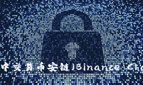 如何在TP钱包中交易币安链（Binance Chain）：详细指南