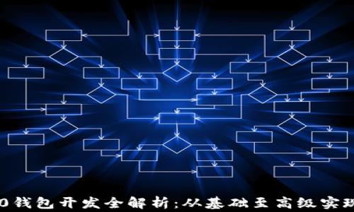 
USDT ERC20钱包开发全解析：从基础至高级实现与注意事项