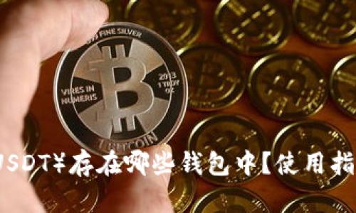 泰达币（USDT）存在哪些钱包中？使用指南与推荐