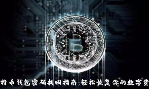   
比特币钱包密码找回指南：轻松恢复你的数字资产