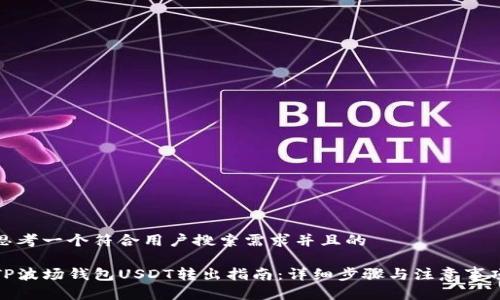 思考一个符合用户搜索需求并且的

TP波场钱包USDT转出指南：详细步骤与注意事项