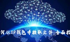 如何从TP钱包中提取文件：全面指南