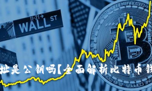 比特币钱包地址是公钥吗？全面解析比特币钱包的工作原理