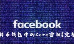 如何安全管理比特币钱包中的Core密钥？完整指南